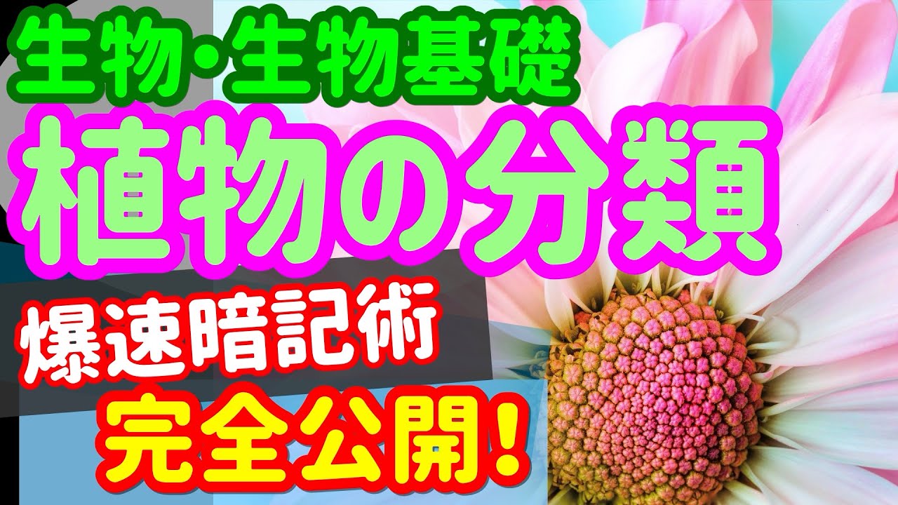 生物基礎 6 植生 植物の分類 を宇宙一わかりやすく Youtube