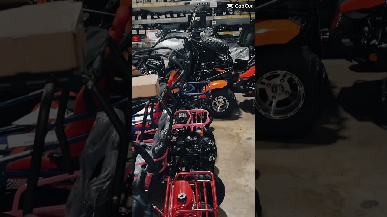 110cc-200EFI go karts available at FLYINGSCOOTER