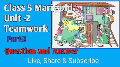 Marigold Class 5 Unit 2 Teamwork Exercise | Solution of Teamwork | Teamwork Question and Answer