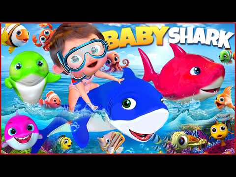 Baby Shark Big Ocean Adventure | Kids Nursery Rhyme | Kids Songs | Banana Cartoon #nurseryrhymes