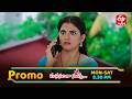 సుపత్రి నుంచి తప్పించుకున్న మారుతీరావు దమయంతికి ఎదురైతే..? | Manasantha Nuvve | Mon -Sat @ 8 :30 PM