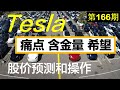 第166期：❗️为何Tesla 不会暴跌❗️  最新股价预测和操作❗️ 痛点 含金量 希望 。美股投资2020