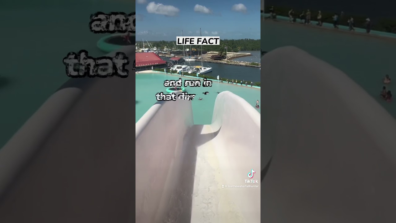 Choose the life you want