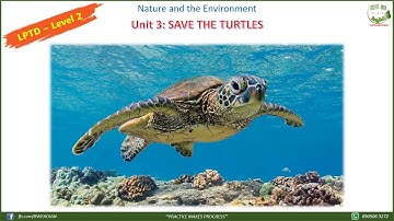 LPTD Level 2: Unit 3 - Save the Turtles
