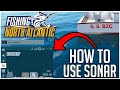 How SONAR Works in Fishing: North Atlantic! | Catch LOADS of Fish EVERY TIME