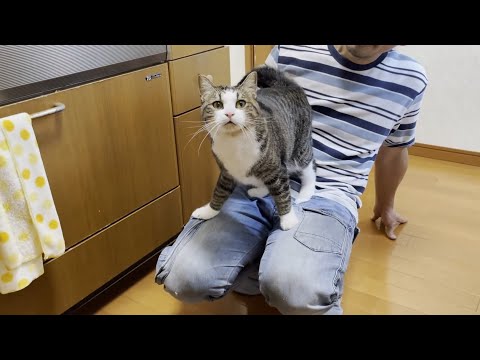 「ァウ」こんなかわいい猫の鳴き声の連呼は滅多に聞けません