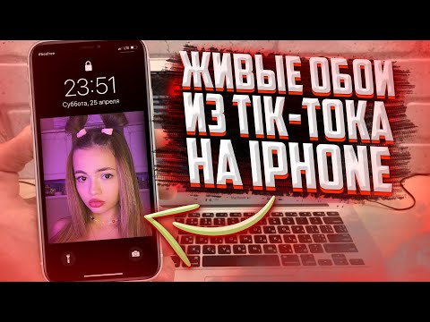 КАК поставить видео из TIK TOK на обои на твоем iPhone?