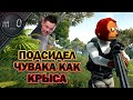 Подсидел чувака как крыса / Холик + 2x прицелы / BEST PUBG