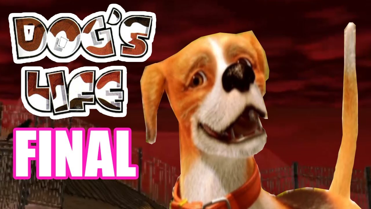 Dog's Life 8 FINAL Miss Peaches.. is.. CATFOOD YouTube