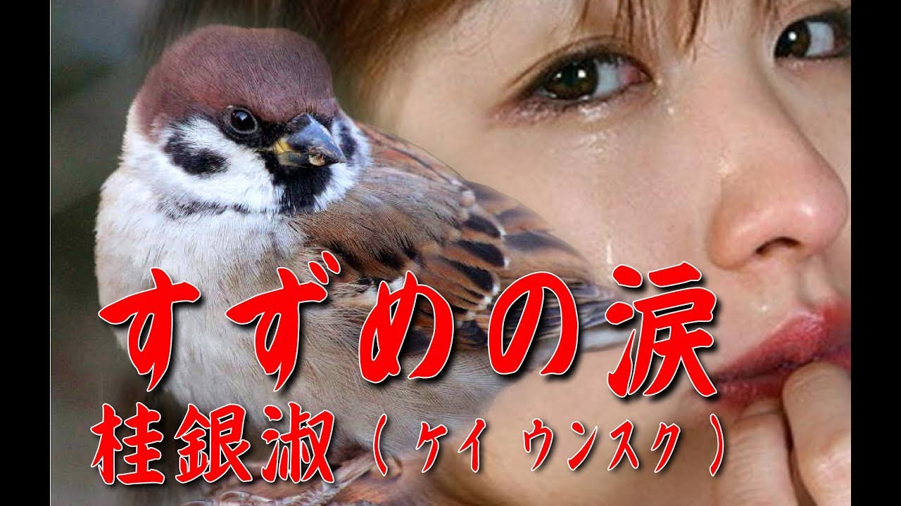 カラオケ動画 すずめの涙 桂銀淑 ケイ ウンスク 火星ではありません 四国カルストです Youtube