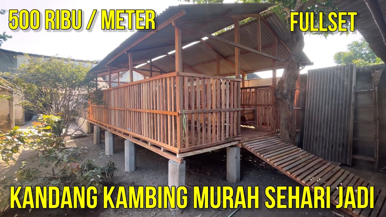 KANDANG KAMBING MURAH 500 RIBU RUPIAH PERMETER PERSEGI