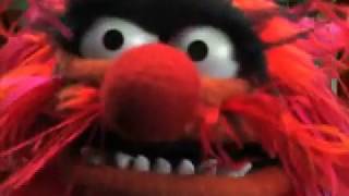 Animal Runs Around The Muppets