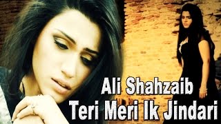Teri meri ik jindri punjabi movie songs download