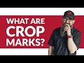 What are printing crop marks? Why crop marks are crucial in print production - Design Basics #04
