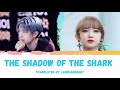 王一博 Wang Yibo 程潇 Shadow Of The Shark 鲨影 Chn Pinyin Eng Sub 王一博 Wang Yibo 程潇 Shadow Of The Shark 鲨影 Chn Pinyin Eng Sub