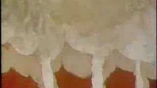 Magic Shadows Intro