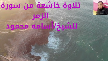 تلاوة خاشعة من سورة الزمر