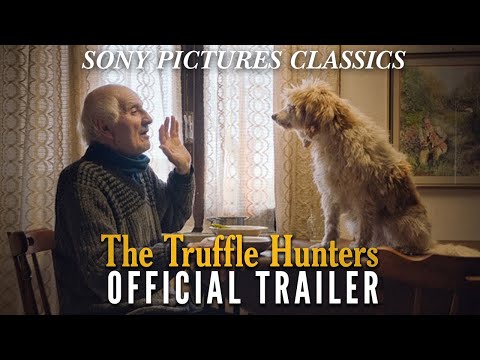 The Truffle Hunters trailer