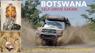 BOTSWANA TRAVEL DOCUMENTARY  4x4 Self Drive Safari  amazing rainy season adventures in Africa