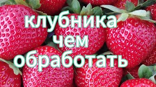 обработка клубники