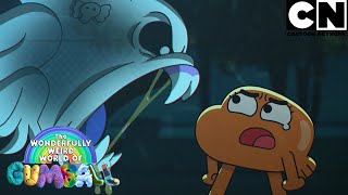 Carrie furiosa com Darwin | O Mundo Maravilhosamente Estranho de Gumball | Cartoon Network 🇧🇷
