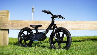 New Product Stacyc Foot Pegs