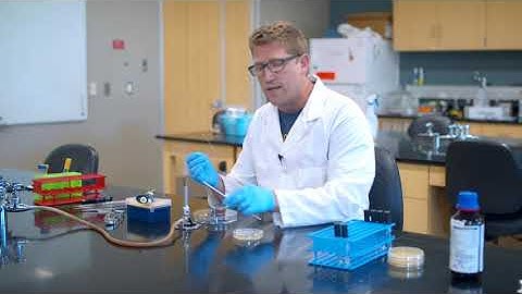 Microbiology: The spread plate technique