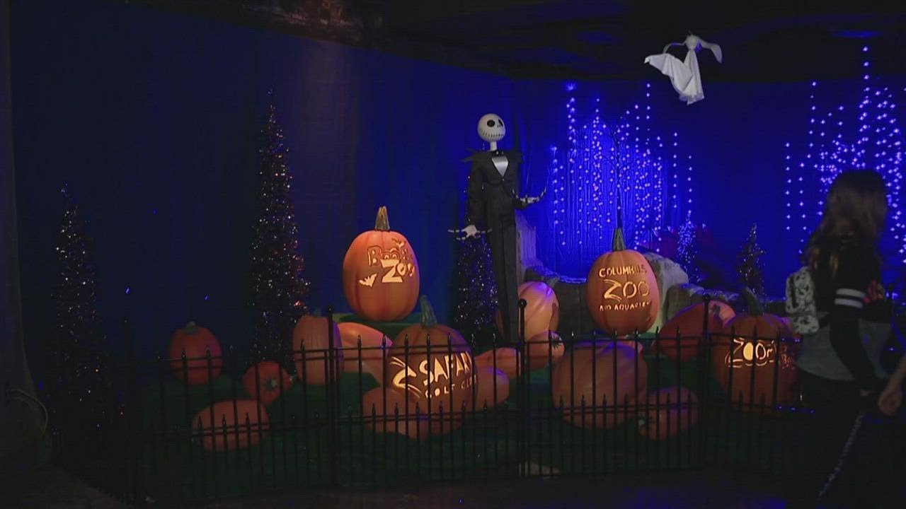 Families enjoy Boo at the Zoo - YouTube