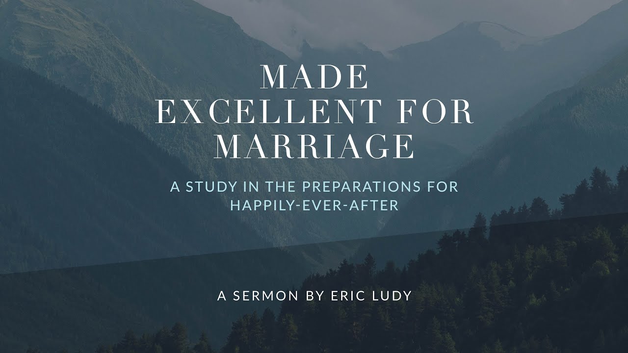 Eric Ludy - Made Excellent for Marriage: A Study in the Preparations for Happily-Ever-After (Sermon)