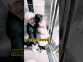 TH | DON'T MESS WITH HER! 😤 Elevator Bully[TRACYHERO]#kindperson #respect #help #trending #shorts