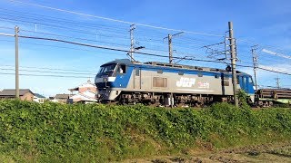 【レール輸送】8090レ EF210-121+チキ