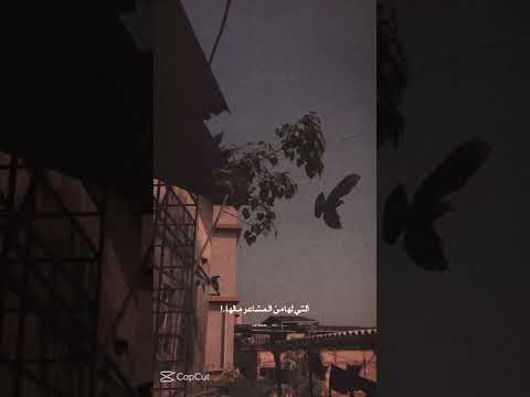 تلك الأيام مالها