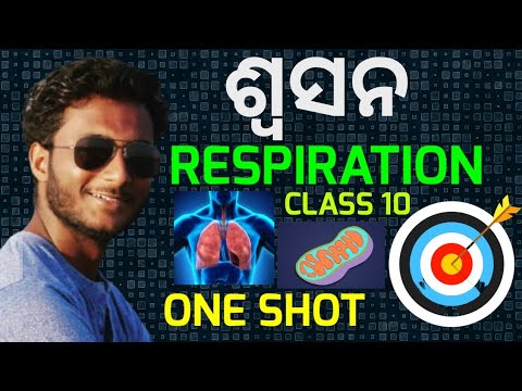 RESPIRATION (ଶ୍ବସନ) class 10 life science chapter-2 in odia || One shot video || full chapter