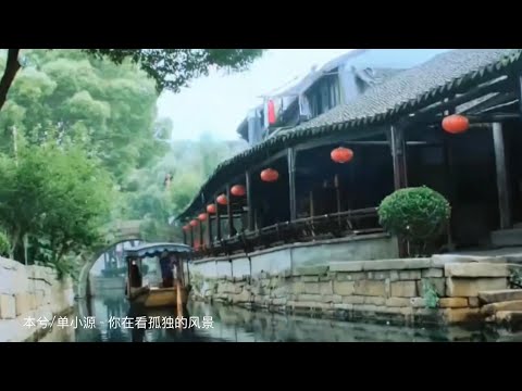 本兮/单小源 - 你在看孤独的风景『你在看孤独的风景 逃离有我的回忆』 【动态歌词/Chinese Lyrics】