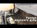 Морёный дуб. Распил бревна на доски.