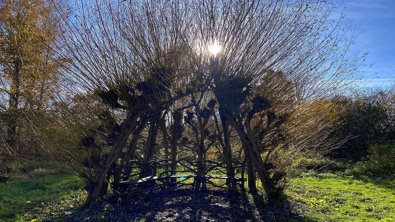 Wild garden mysterious and magical  - Wildgarten Furth im Wald