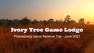 Ivory Tree Game Lodge: A South African Safari. #safari #bucketlist