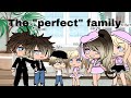 THE “PERFECT” FAMILY ~|~ MINI MOVIE