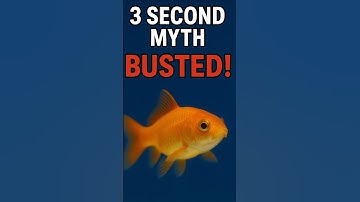 Goldfish Memory : The truth Behind The 3 Second Myth #Shorts #MemoryMyths