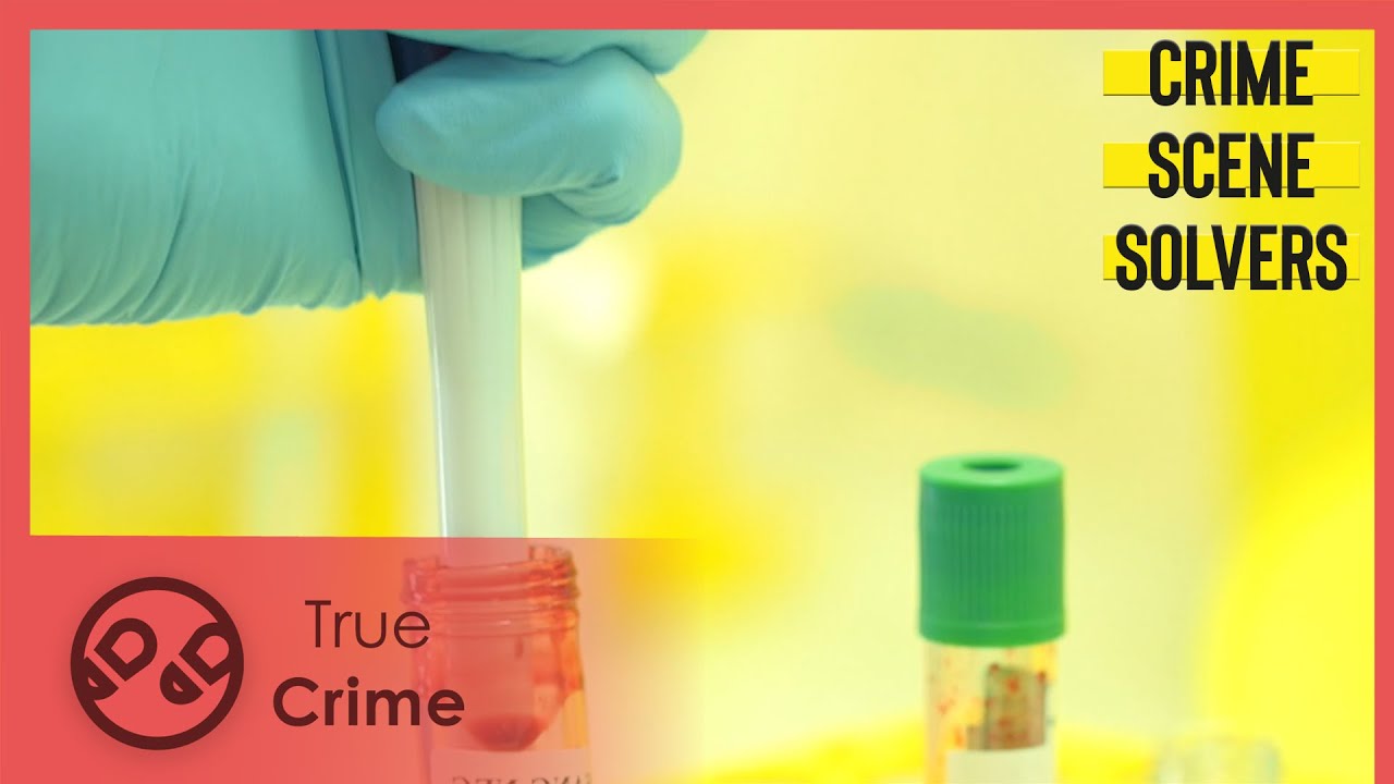 Documentary backdrop image for A discovery in the garage | Julein Thevenet Case | Crime Scene Solvers 507 (2023)