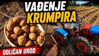 Vađenje Krumpira, Tomo Vinković U Akciji