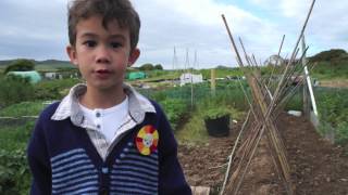 The Gifford Garden Ep 3