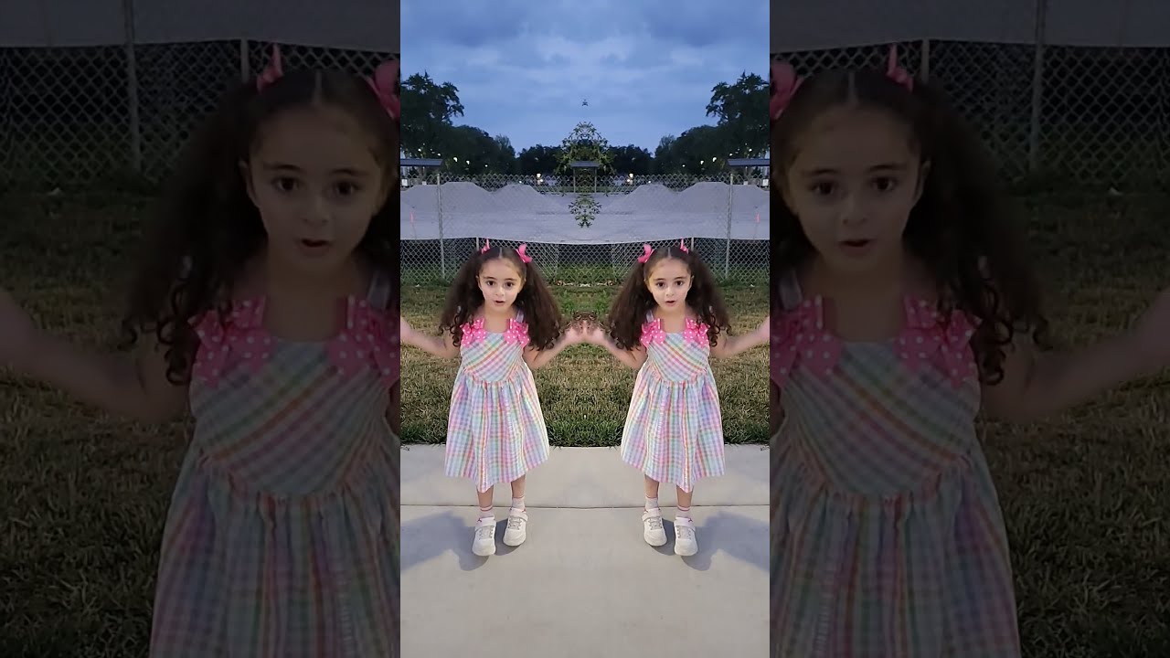 SISTERS Or TWINS Trending Trend Sister Twins Fun Shorts Funny Mirror Fyp Act Cute
