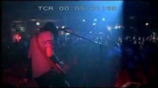 Wolf &amp; Cub JTV LIVE Adelaide Rozalia Bizaar