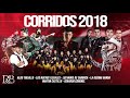 Aldo trujillo, Nuevos Ilegales, Los Minis , Decima Banda, Martin Castillo, El Jerry: Corridos 2018