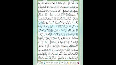 سورة النمل الاية48_50 بصوت د.ايمن سويد