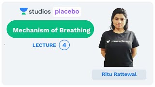 L4: Mechanism of Breathing | Human Physiology (Pre-medical-NEET/AIIMS) | Ritu Rattewal