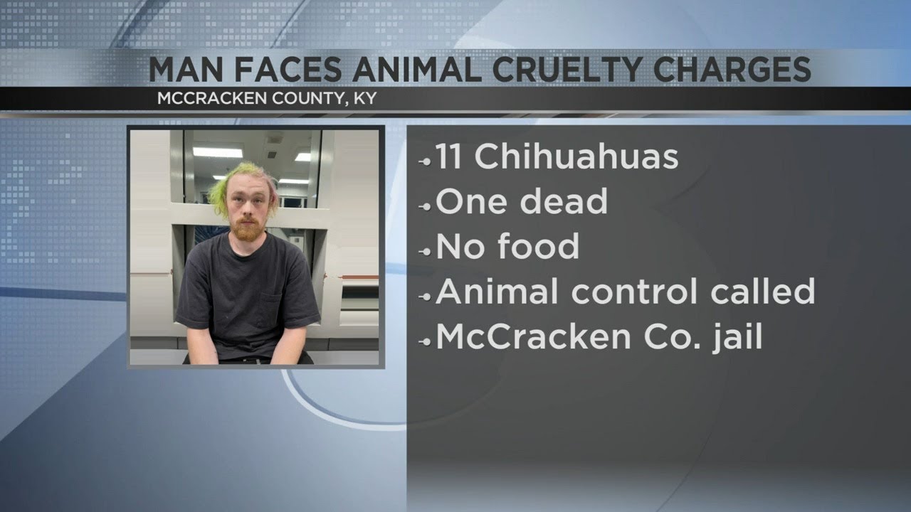 Paducah man faces animal cruelty charges - YouTube
