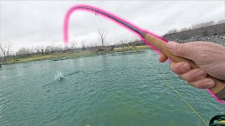 Huge Fish on Light Line! | Wade Fishing a Creek Below Dam