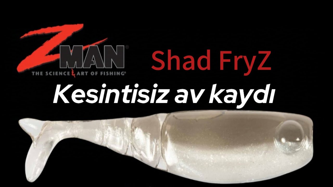 PERCH Avı KESİNTİSİZ AV KAYDI 🎣🐟💯